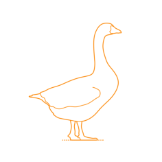 Animals Waterfowl Domestic Goose Stencil Svg Vector, Free Vectors File